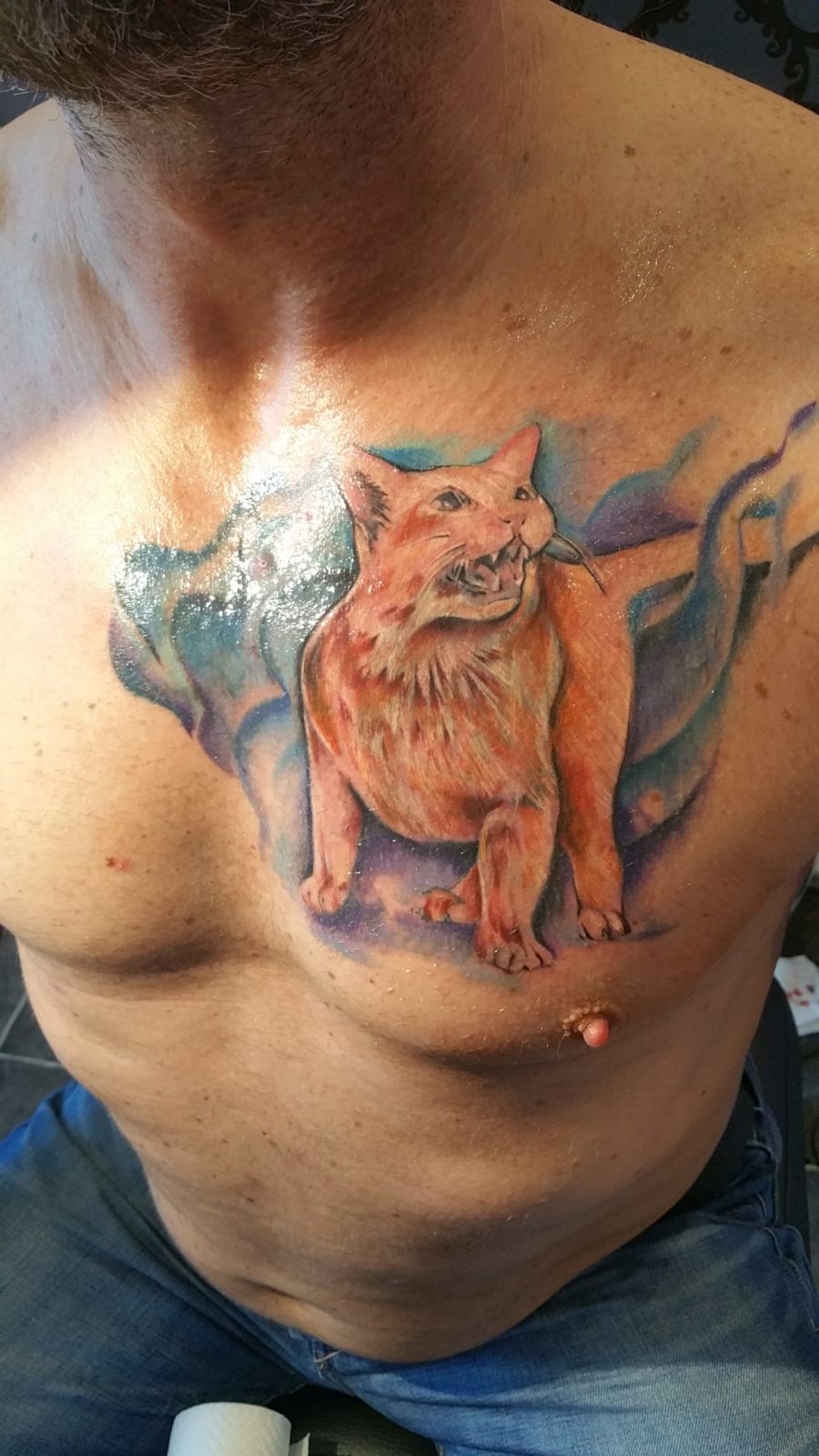 Burmese cat tattoo